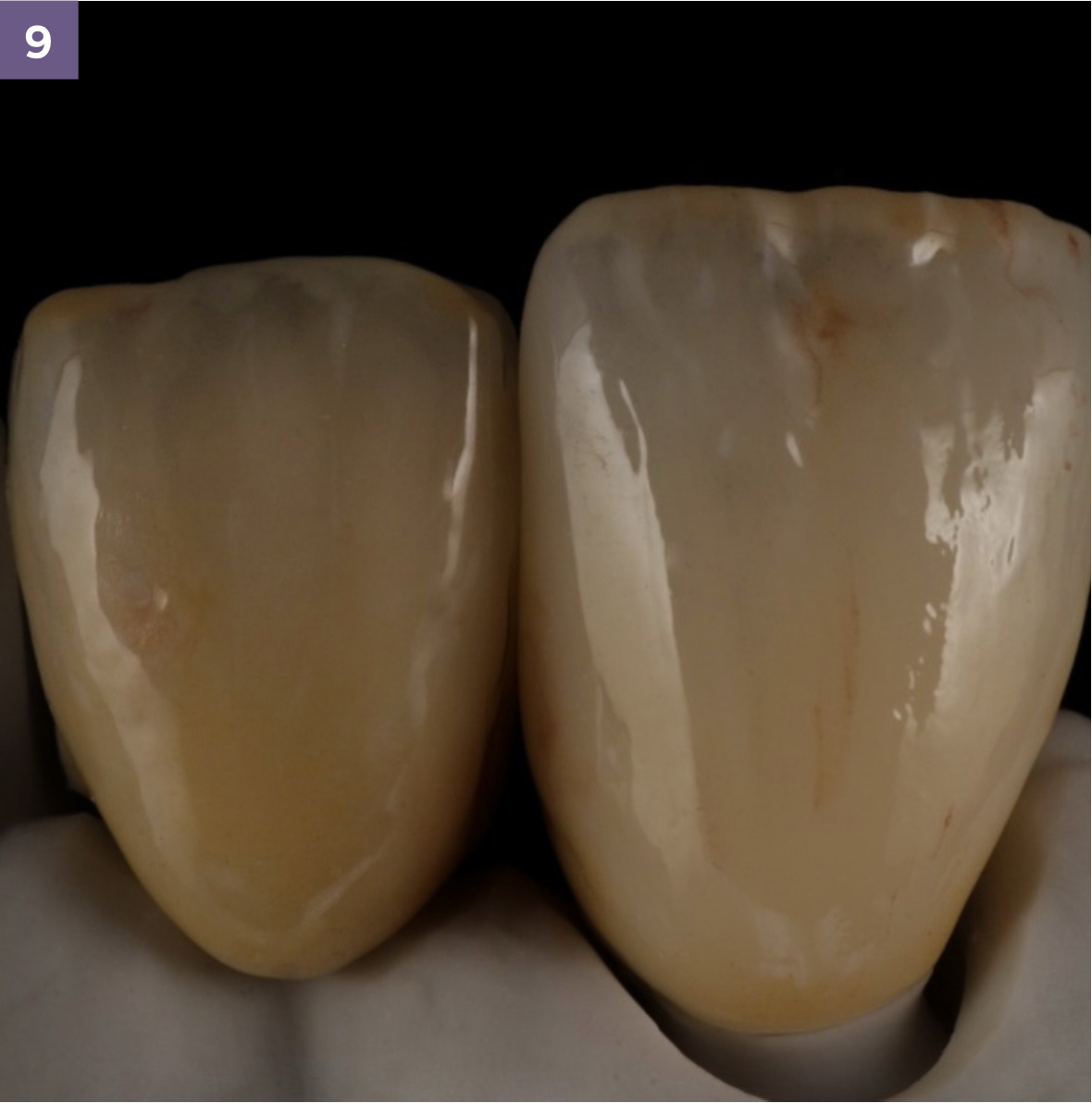 leah potter case overview final results 2