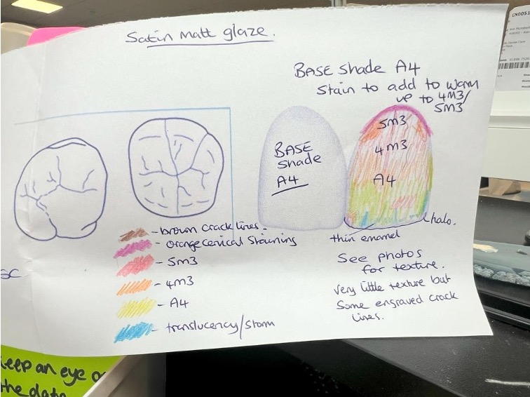 Shade mapping to back photos